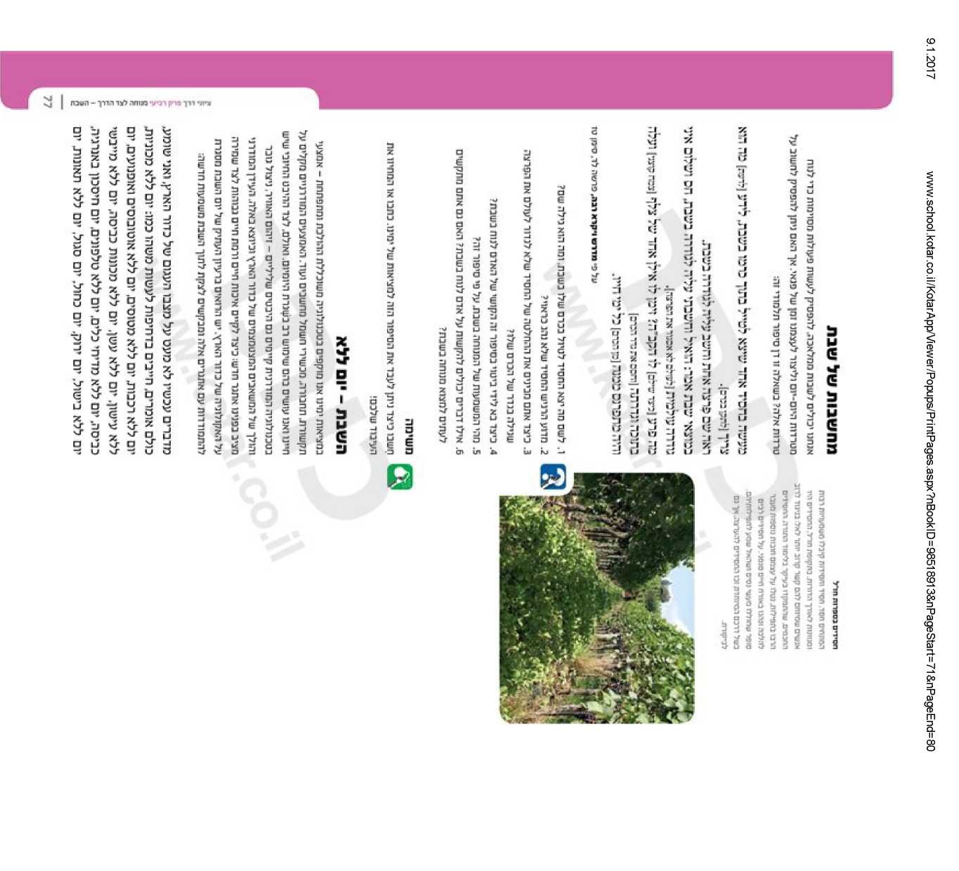 (בספר תמונה של שדרת עצים)